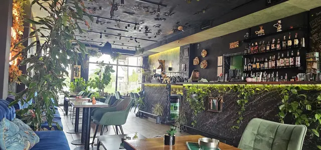 Jungle Bar (Džungla Bar)