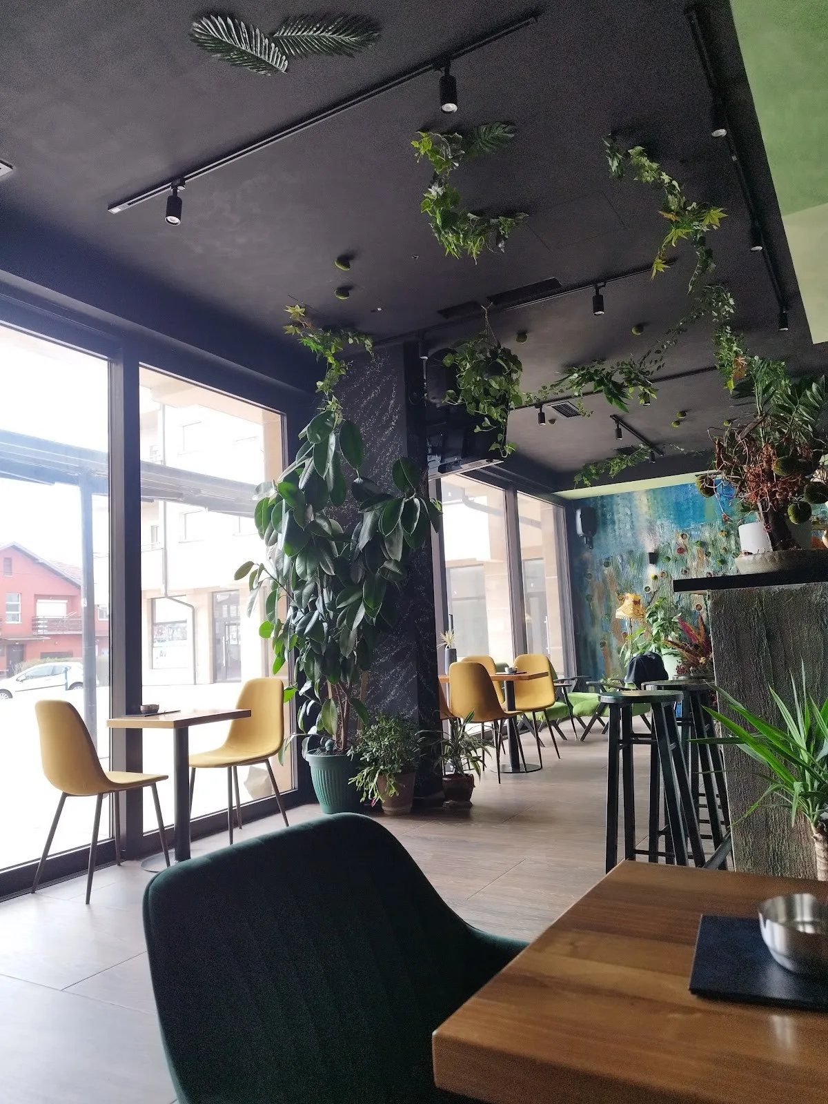 Jungle Bar (Džungla Bar) - 2