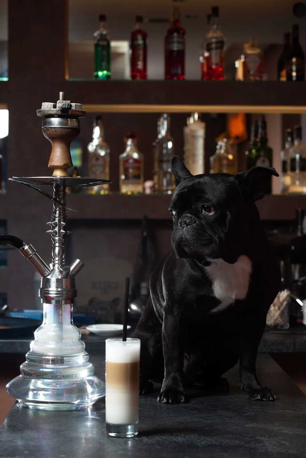 Nest Lounge Bar